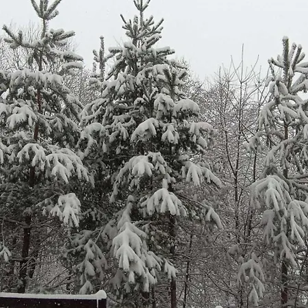 2 Detelina Bansko