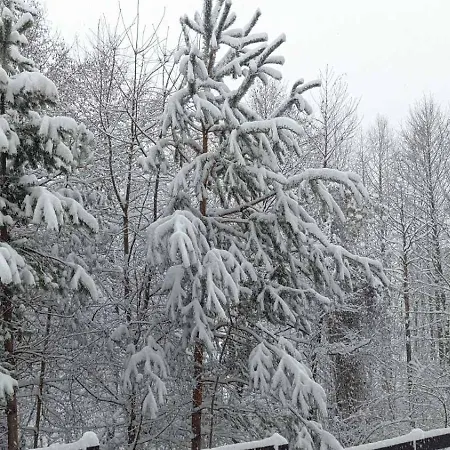 2 Detelina Apartamento Bansko