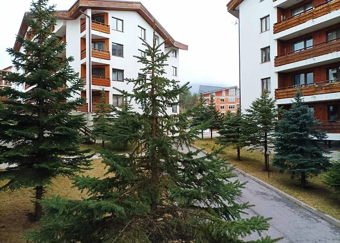 Apartment 2 Detelina *