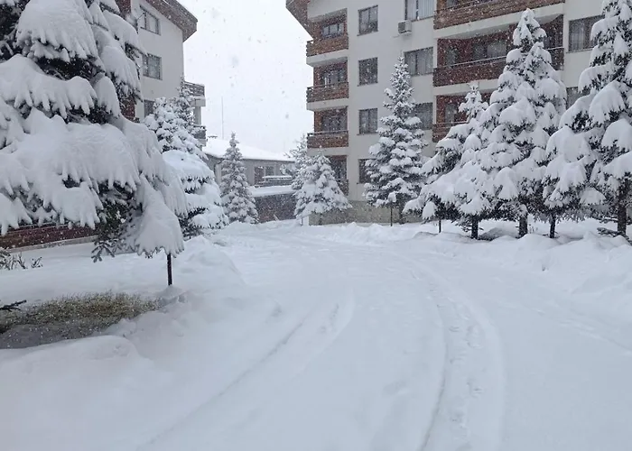 Apartman 2 Detelina Banszko