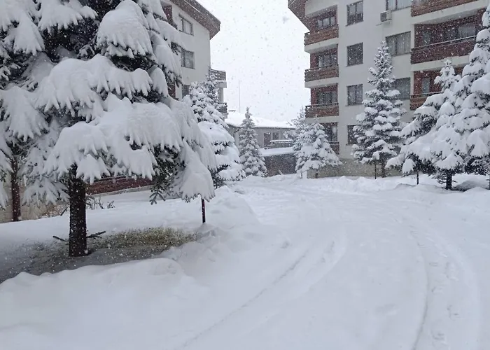 2 Detelina Apartment