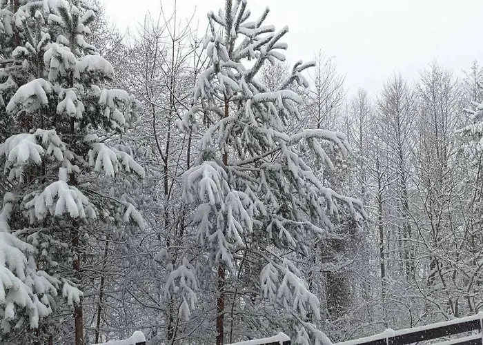 2 Detelina Apartman Banszko
